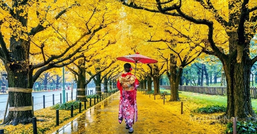 choose the Best Time to Visit Asia